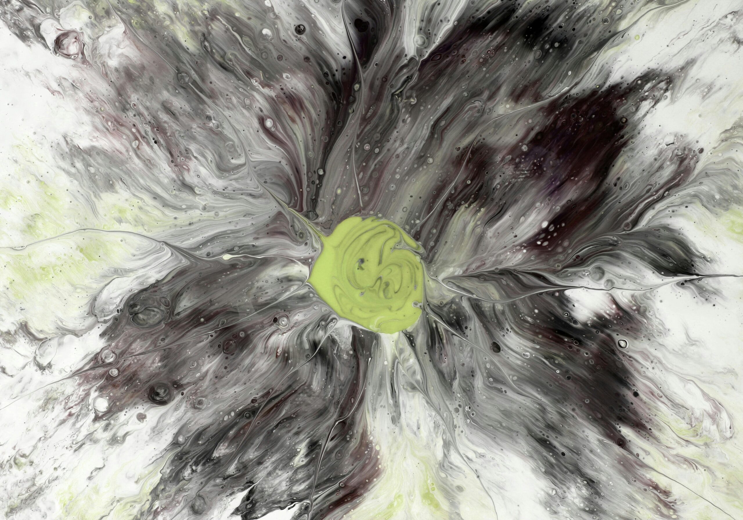 pexels diva 32796074 scaled